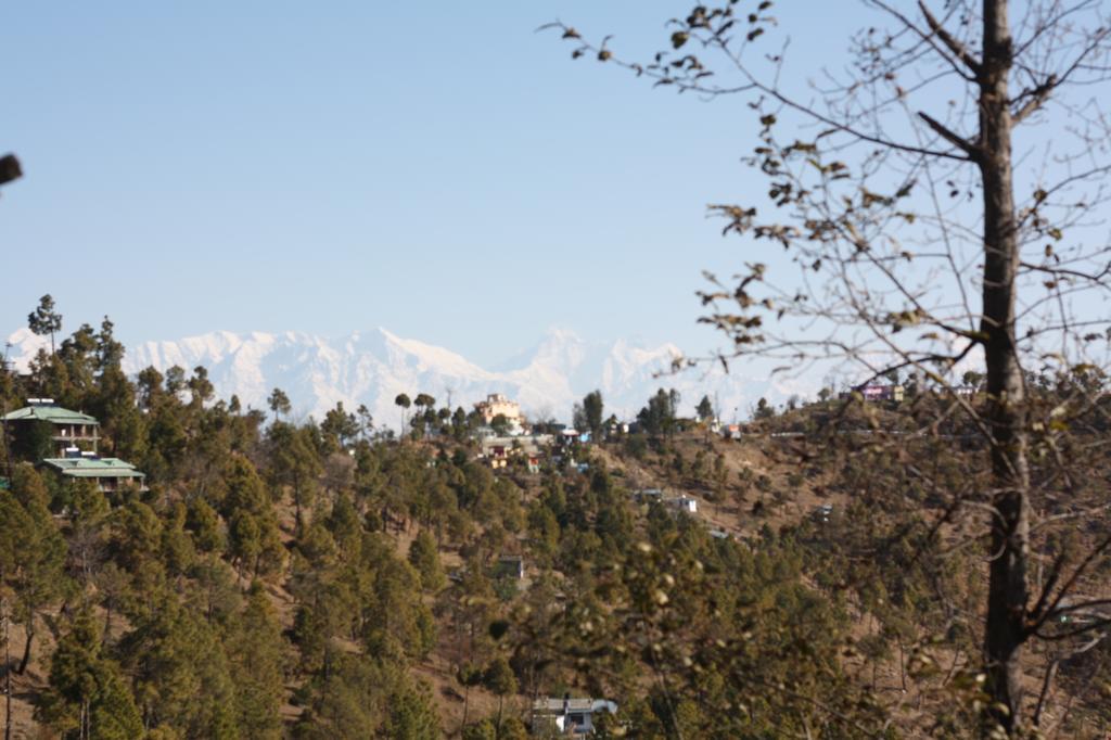 Kasar Rainbow Yoga Retreat Villa Almora Buitenkant foto